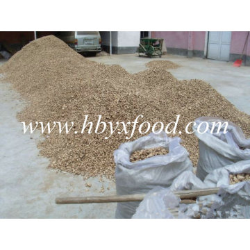 Dried Shiitake Mushroom Leg From Hubei